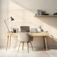 Ausbauplatte-sunwood